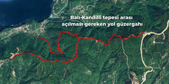 647241967_1220103270165167_5576588634570596236_n