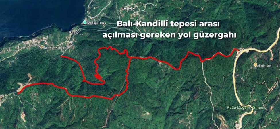 647241967_1220103270165167_5576588634570596236_n