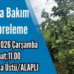 FB_IMG_1774958863980