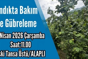 FB_IMG_1774958863980