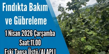 FB_IMG_1774958863980