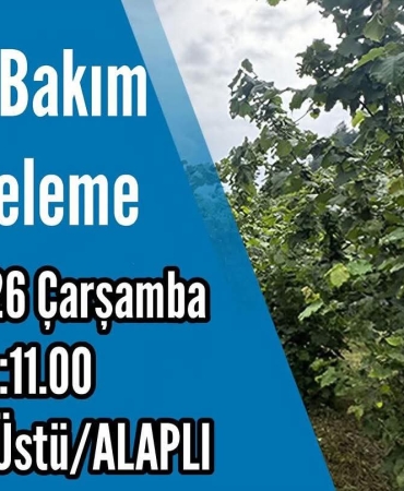 FB_IMG_1774958863980