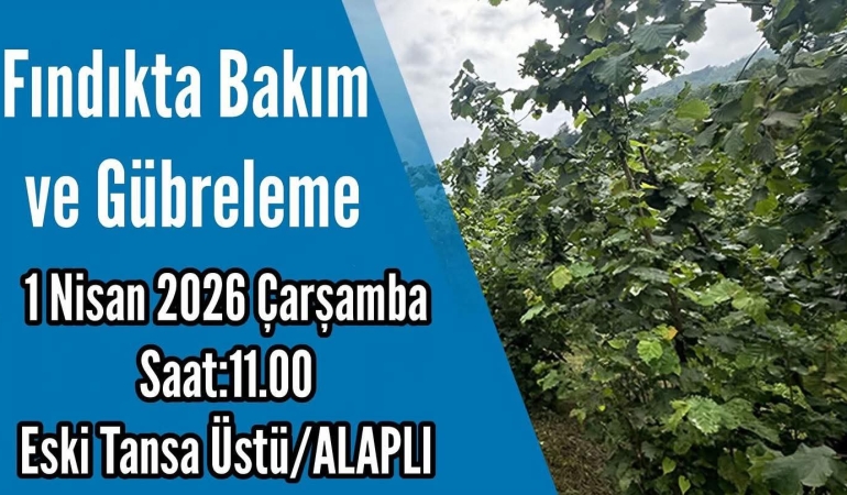 FB_IMG_1774958863980