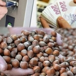 FB_IMG_1774958924143