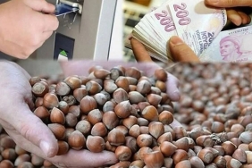 FB_IMG_1774958924143