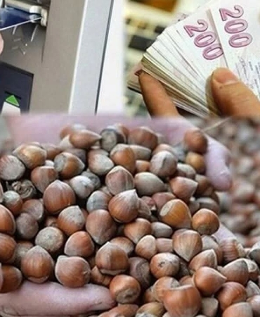 FB_IMG_1774958924143