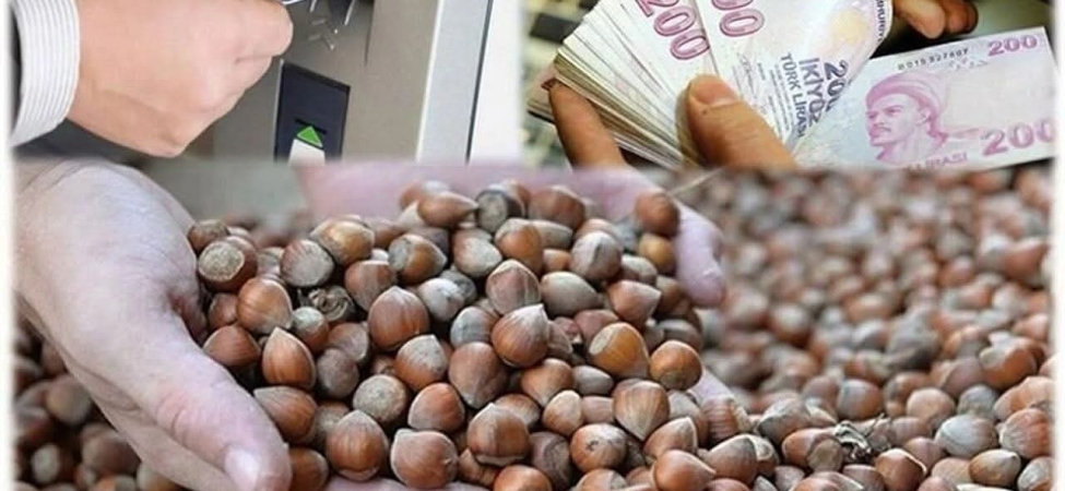 FB_IMG_1774958924143