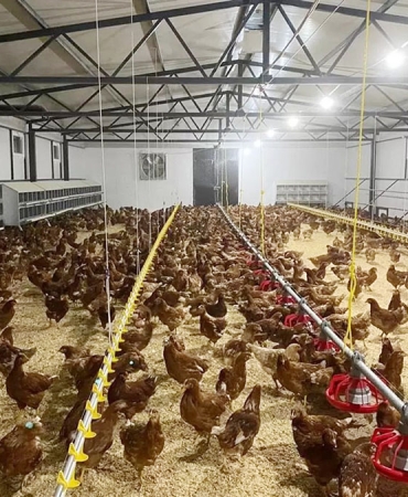 fbd076dc-ceee-48f6-8b72-4deebd76fffc