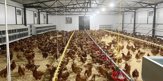 fbd076dc-ceee-48f6-8b72-4deebd76fffc