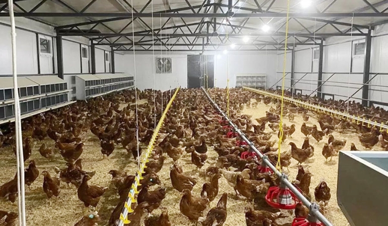 fbd076dc-ceee-48f6-8b72-4deebd76fffc