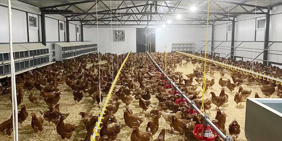 fbd076dc-ceee-48f6-8b72-4deebd76fffc