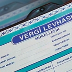 vergilevhasi