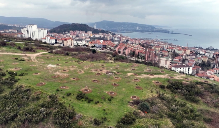 663302333_1245440527631441_8000037539020842649_n