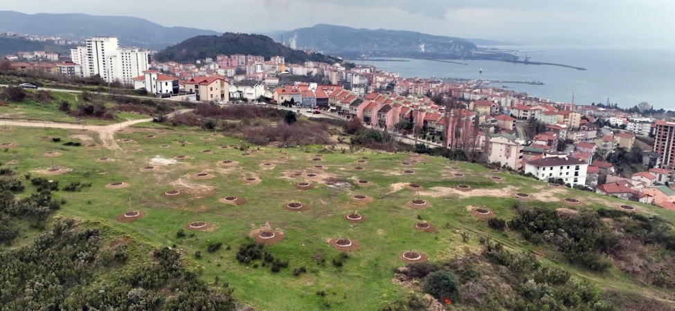 663302333_1245440527631441_8000037539020842649_n