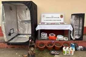 666789144_3189935937854447_9026675062310641822_n