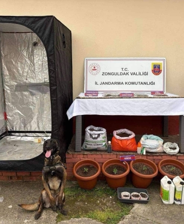 666789144_3189935937854447_9026675062310641822_n