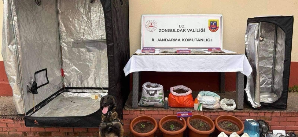 666789144_3189935937854447_9026675062310641822_n