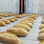 670442603_10164399597722904_2294877543791981068_n