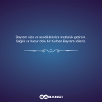 310x260