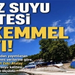 dnzz