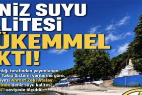 dnzz