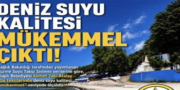 dnzz