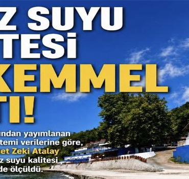 dnzz