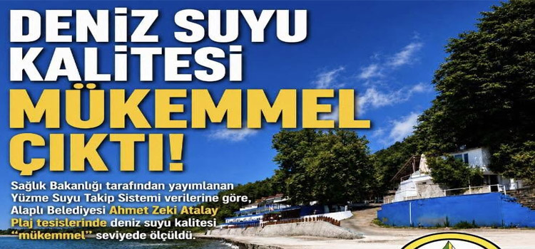 dnzz
