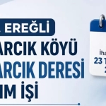 dvsdfas