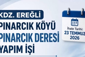 dvsdfas