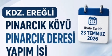 dvsdfas