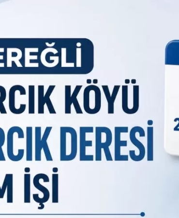dvsdfas