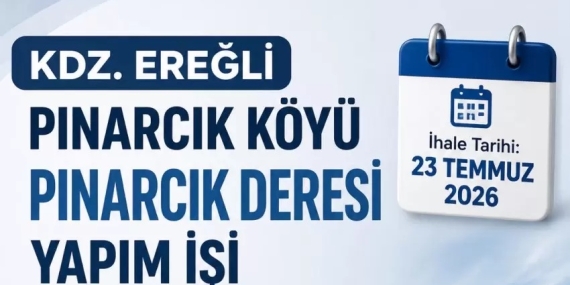dvsdfas