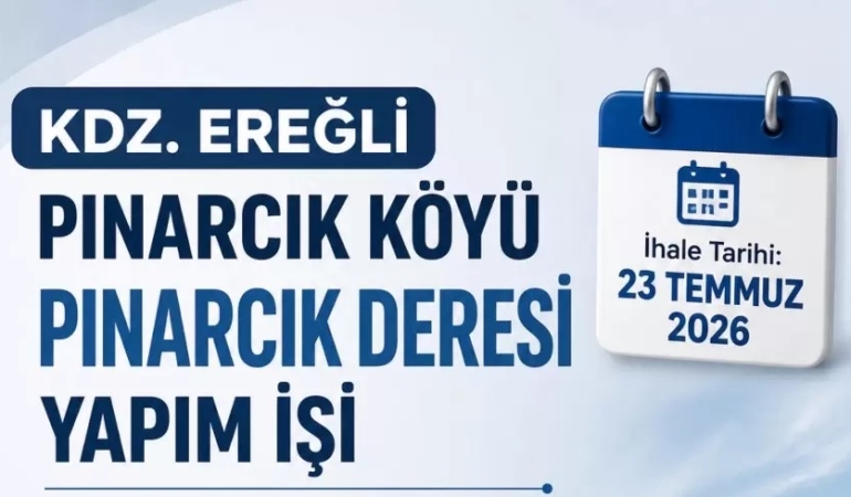 dvsdfas