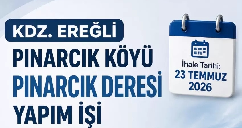 dvsdfas