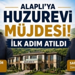 sdsfds