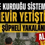 vsvfsfse
