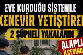 vsvfsfse