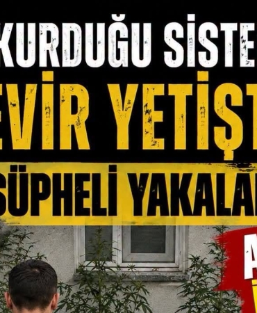 vsvfsfse