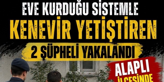 vsvfsfse