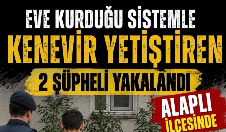 vsvfsfse