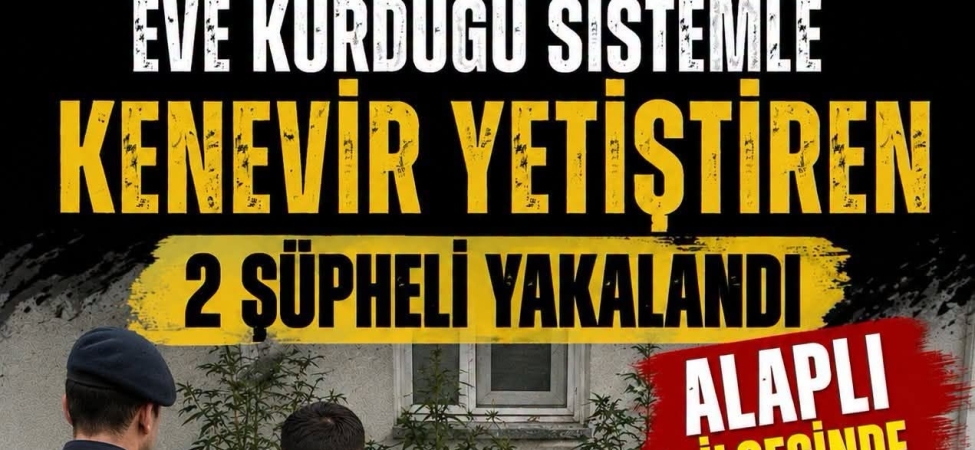 vsvfsfse